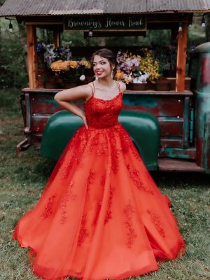 Spaghetti Straps Long Prom Dresses 2025 Ball Gown Lace Appliques Tulle Prom Dress with Pockets Wedding Gowns for Women