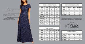 Women's Plus Size Midi Chiffon Skirt