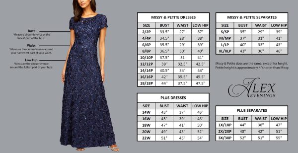 Women's Plus Size Midi Chiffon Skirt